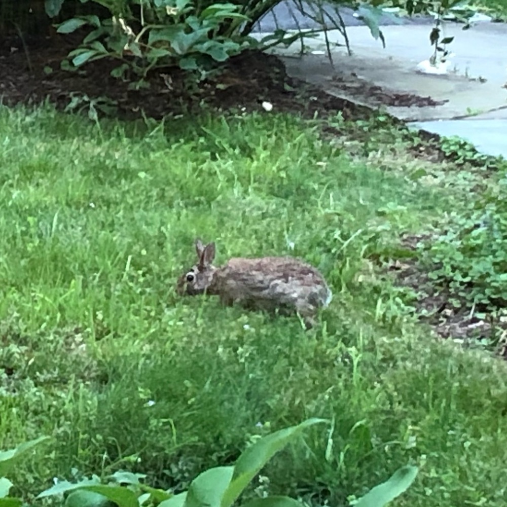Meet your Posher, Anne